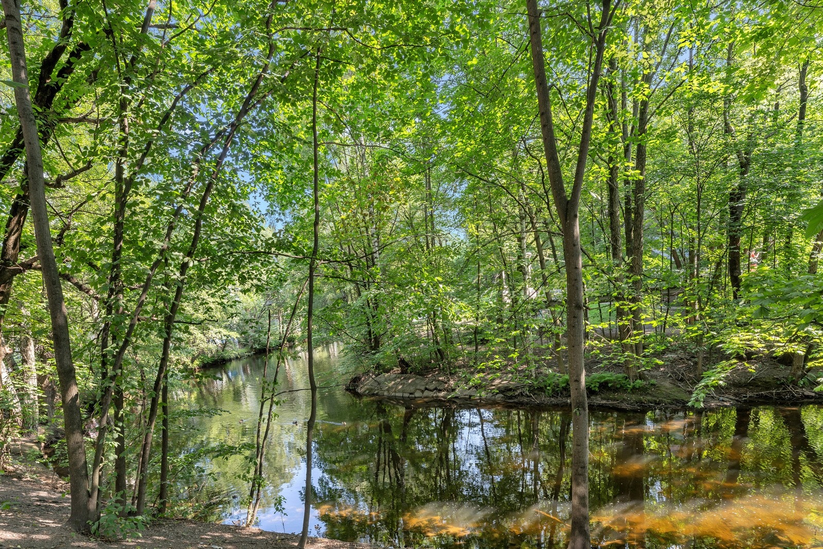 Leiligheten ligger rett ved siden av Akerselva. Galleribilde