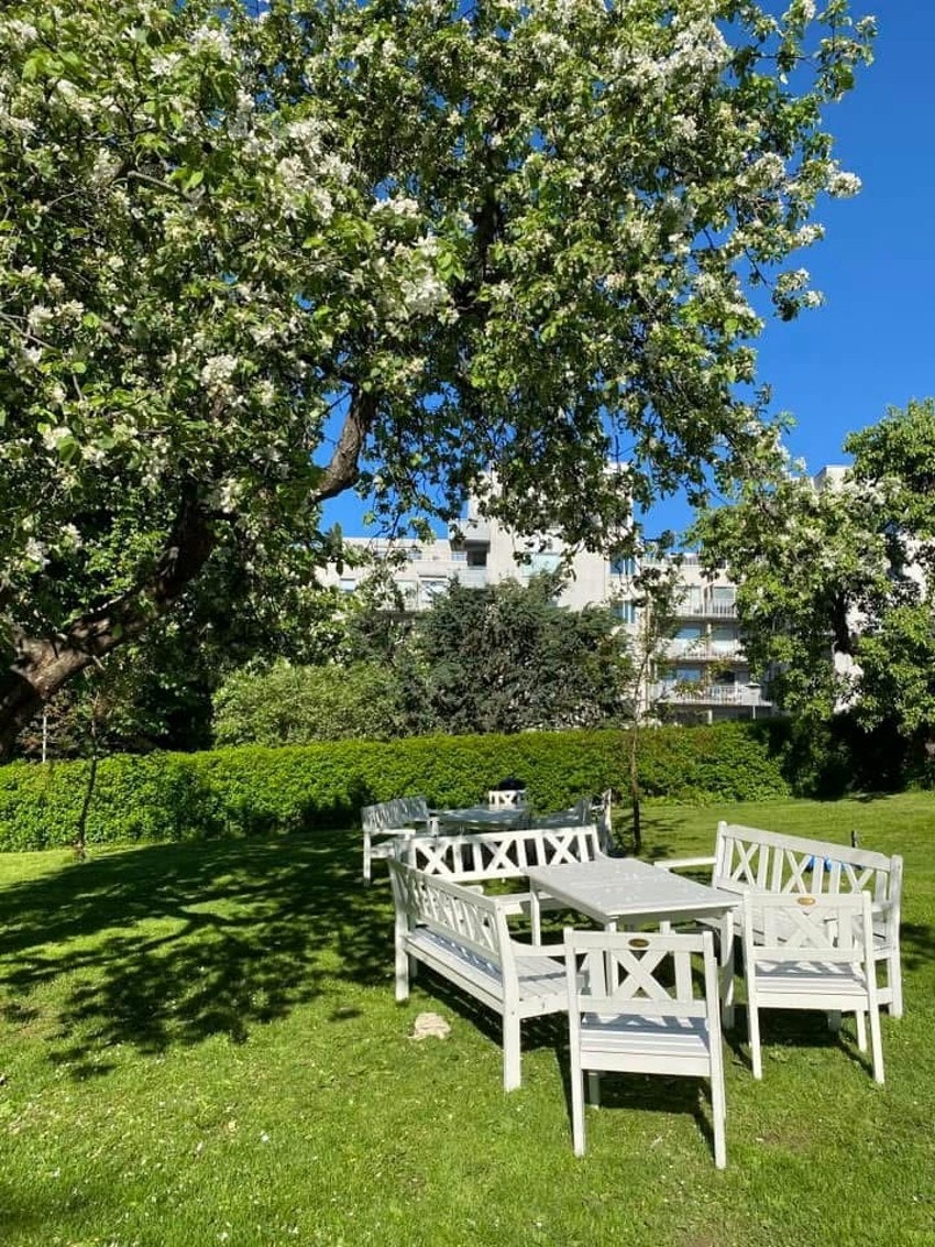 Bakgåren har en nydelig hage. Galleribilde