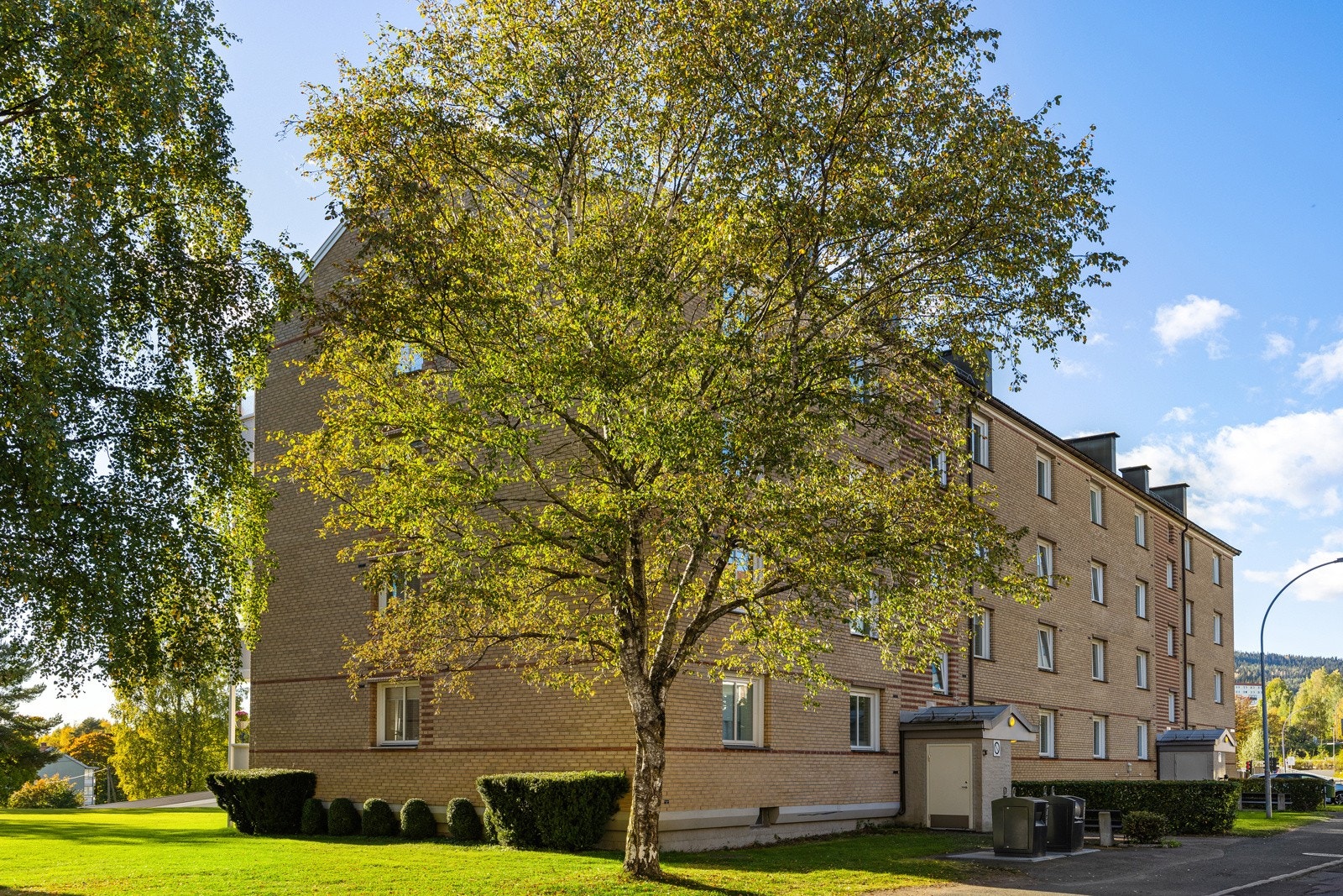 Fellesområder. Galleribilde