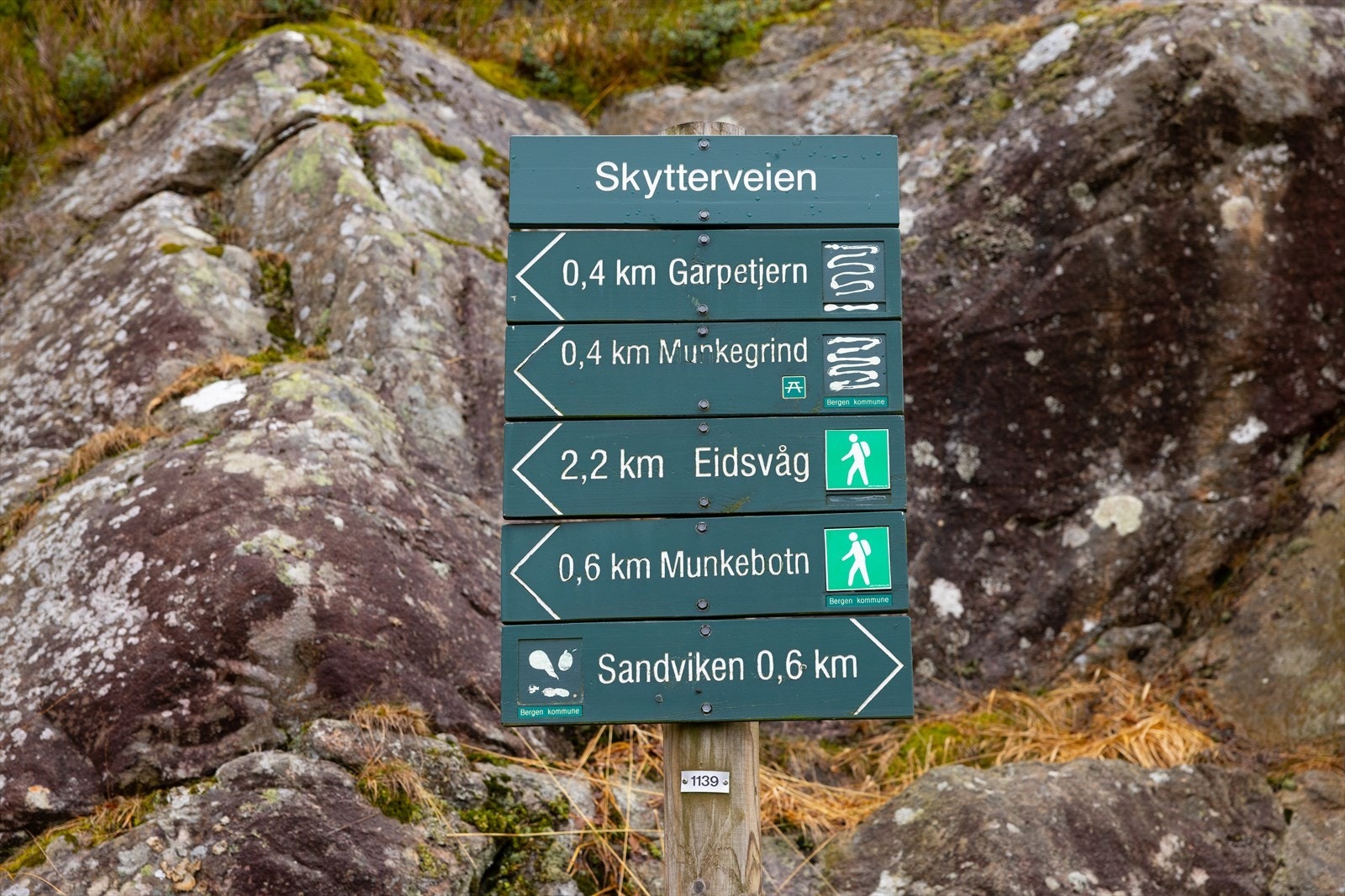 For den tur- og treningsglade kryr det av muligheter i området! Her kan nevnes turer til Langevannet, Indianerplassen, Ravnebergshytten, Sandvikshytten og Kvitebjørnen Galleribilde