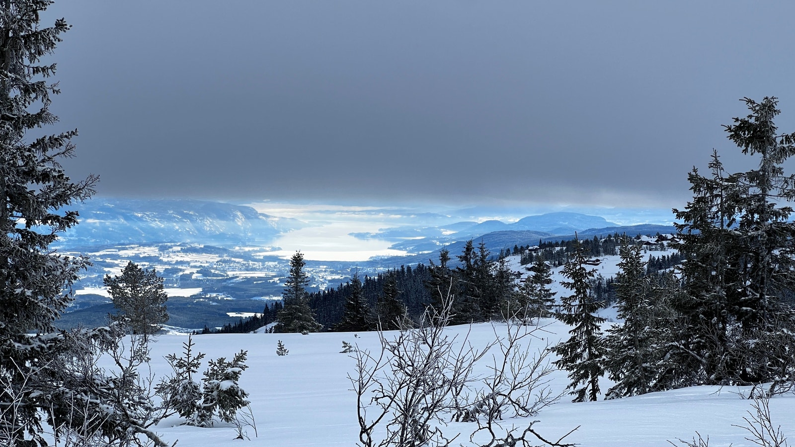 Utsikt fra tomta Galleribilde