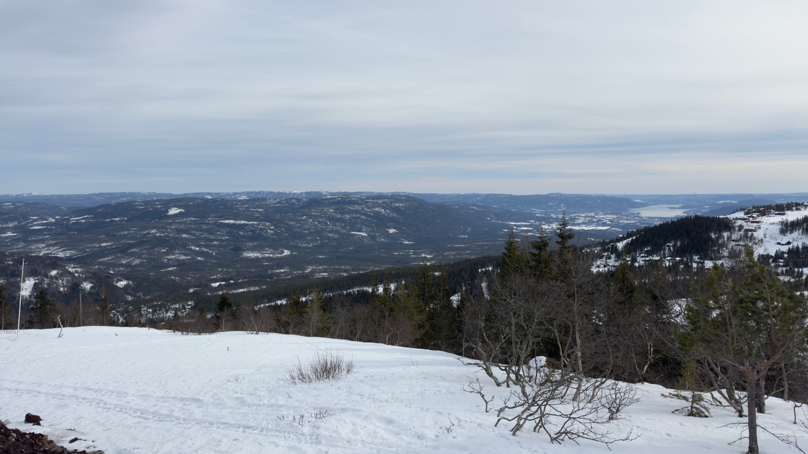 Utsikt fra tomta Galleribilde