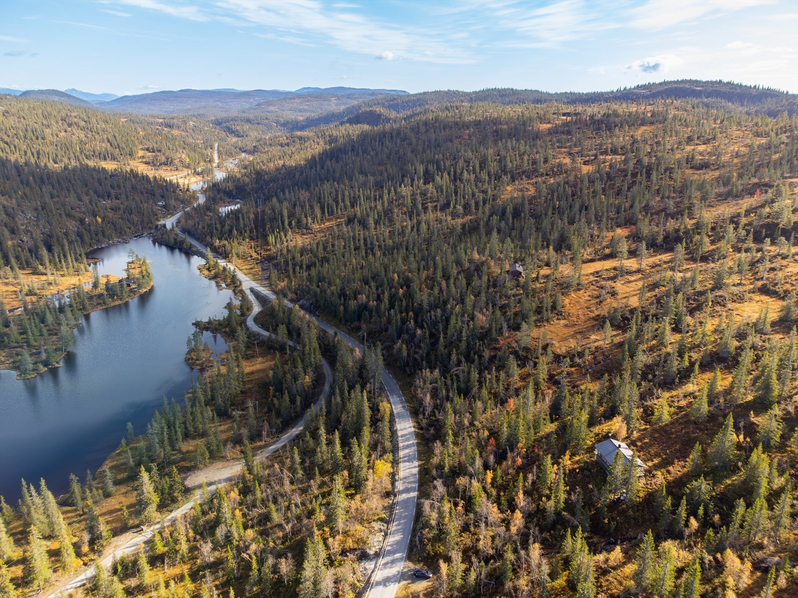 Området byr også på blåbær, tyttebær, sopp og multeterreng. Galleribilde
