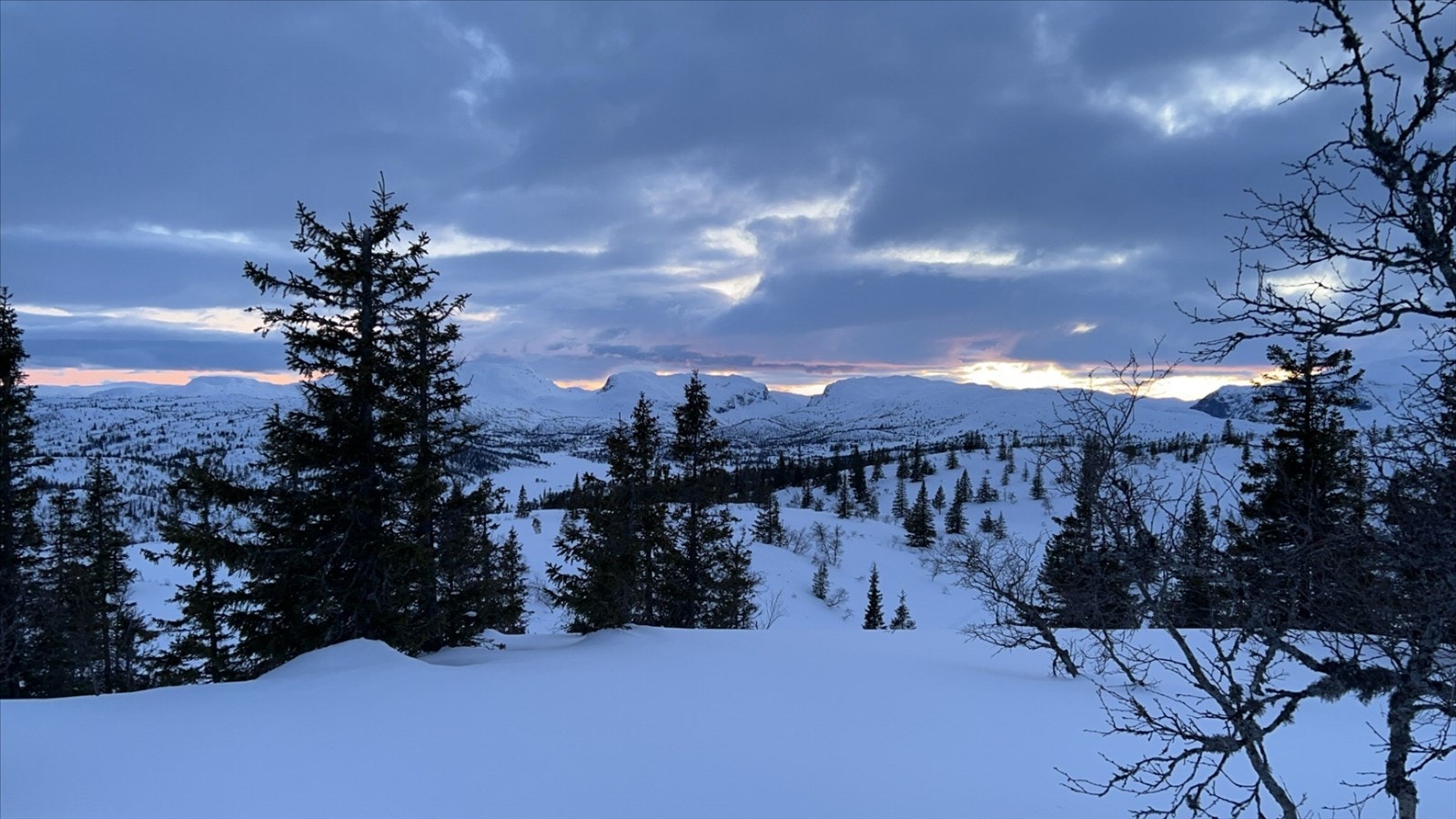 - Selgers private bilde - Tatt i område ovenfor hytta-.jpeg Galleribilde