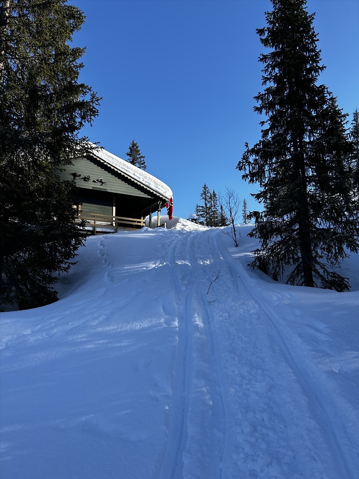 - Selgers private bilde - Galleribilde