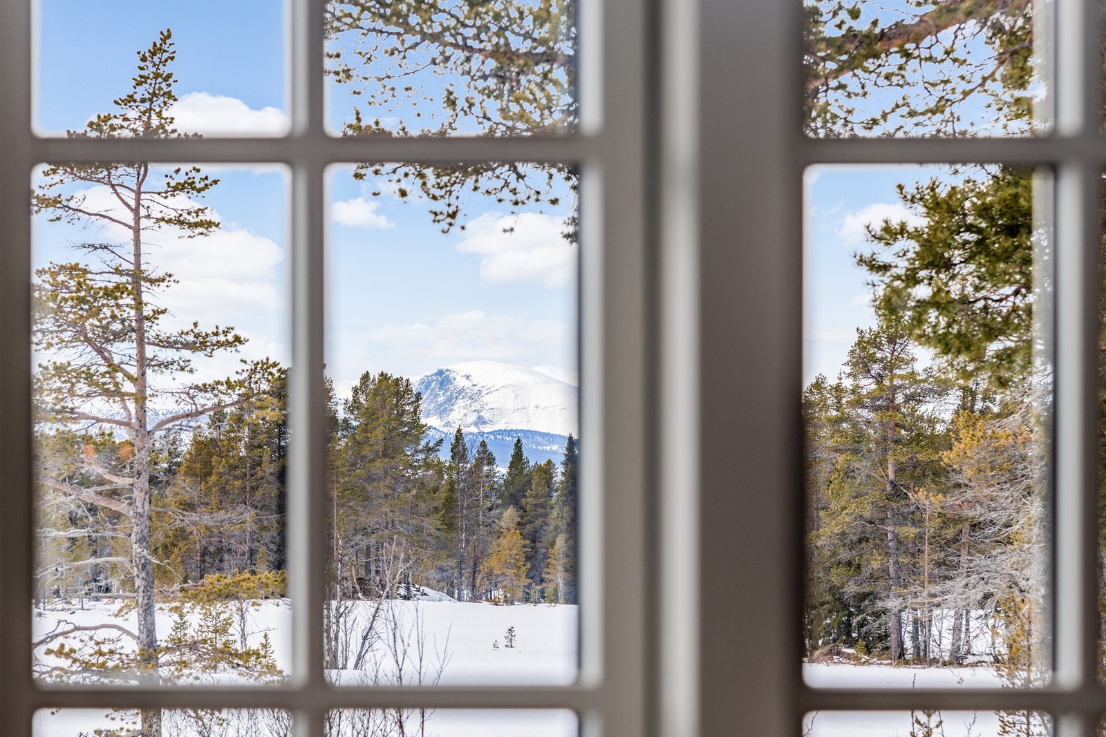 Flott utsikt fra stuen/ spisestuen. Galleribilde