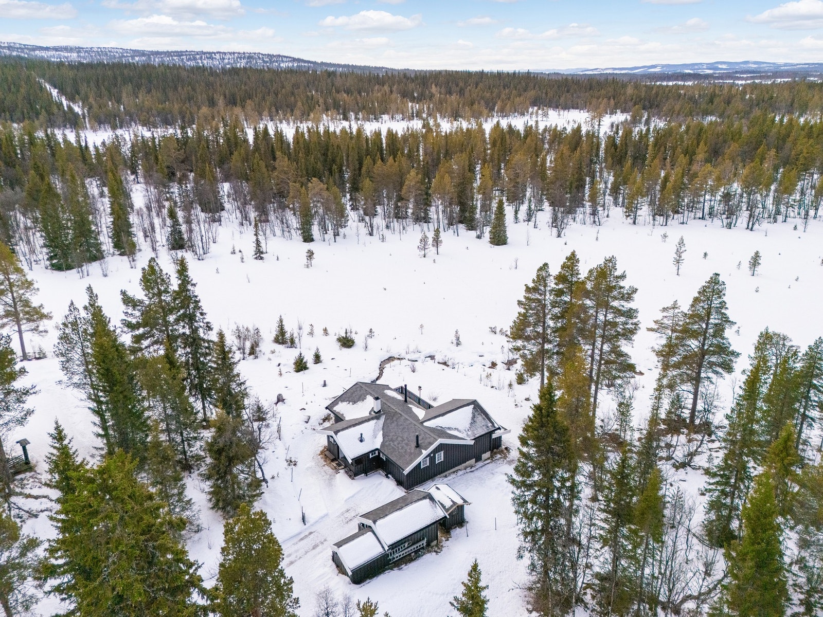 Parkering til flere biler utenfor hytten. Galleribilde