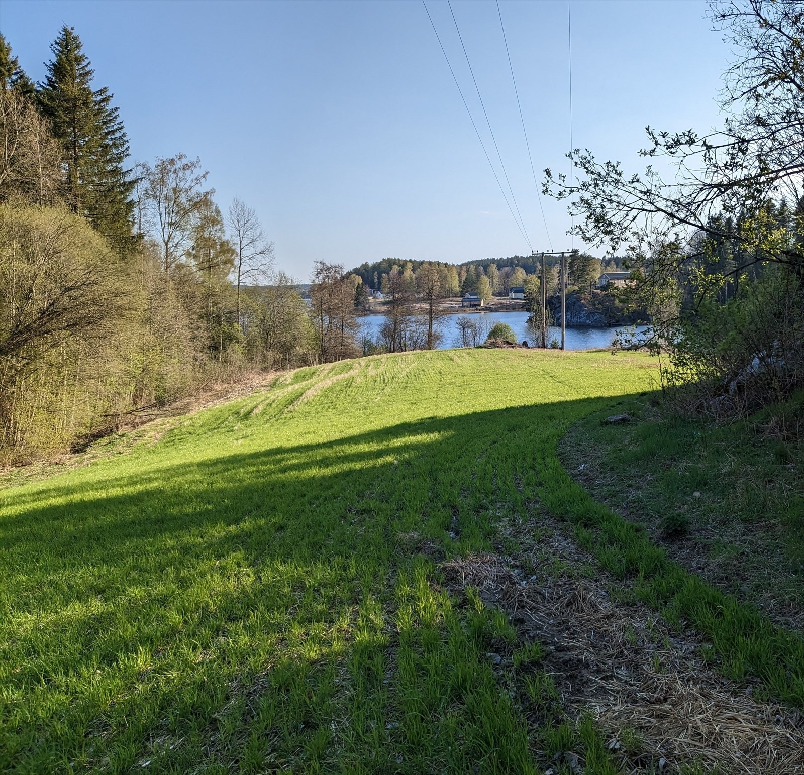 Stien som på få minutter tar deg til vannet. Galleribilde