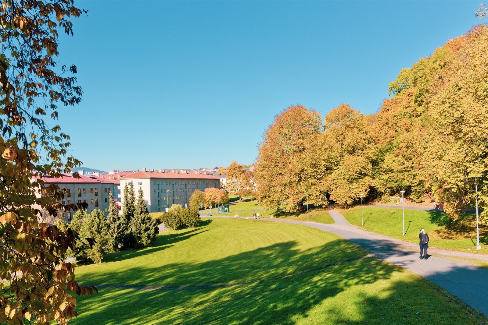 Disse grøntområdene fungerer som sosiale møteplasser og innbyr til lek, avslapping og soling. Galleribilde