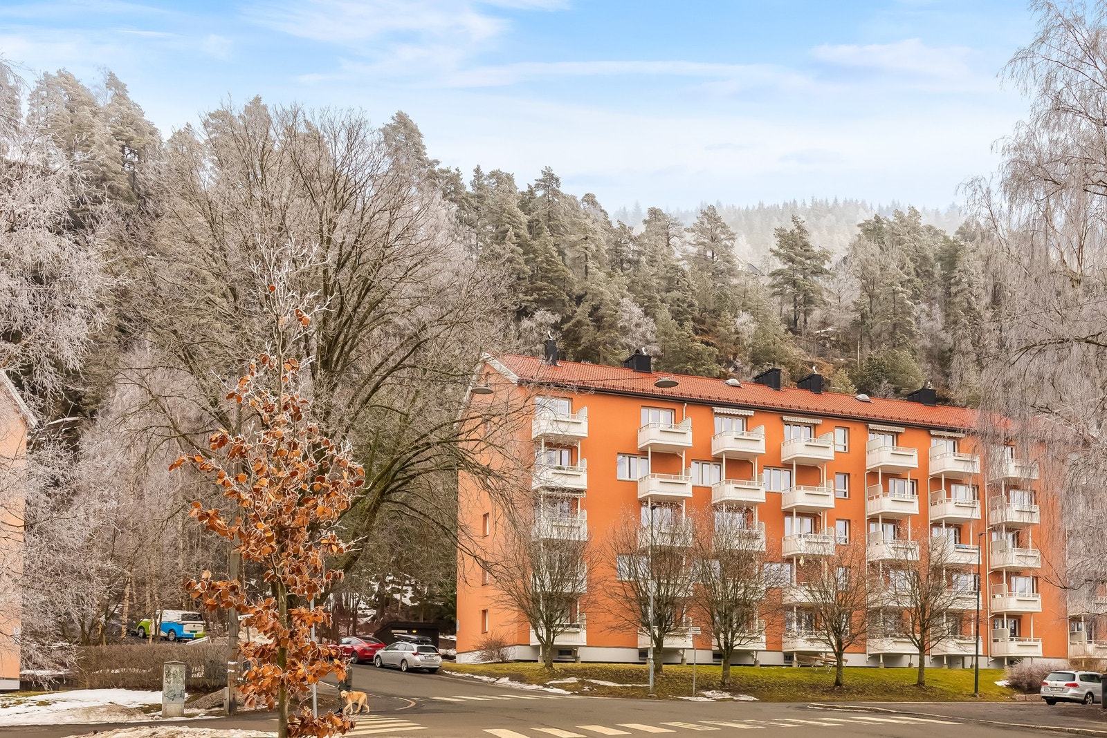 Fasade Galleribilde