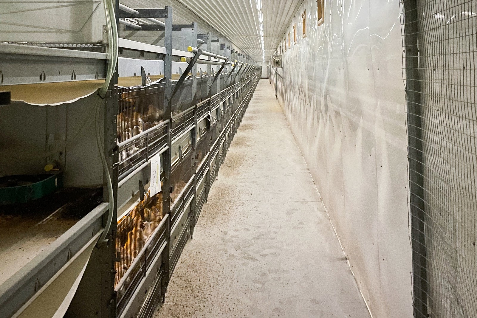 Driftsbygning I Galleribilde