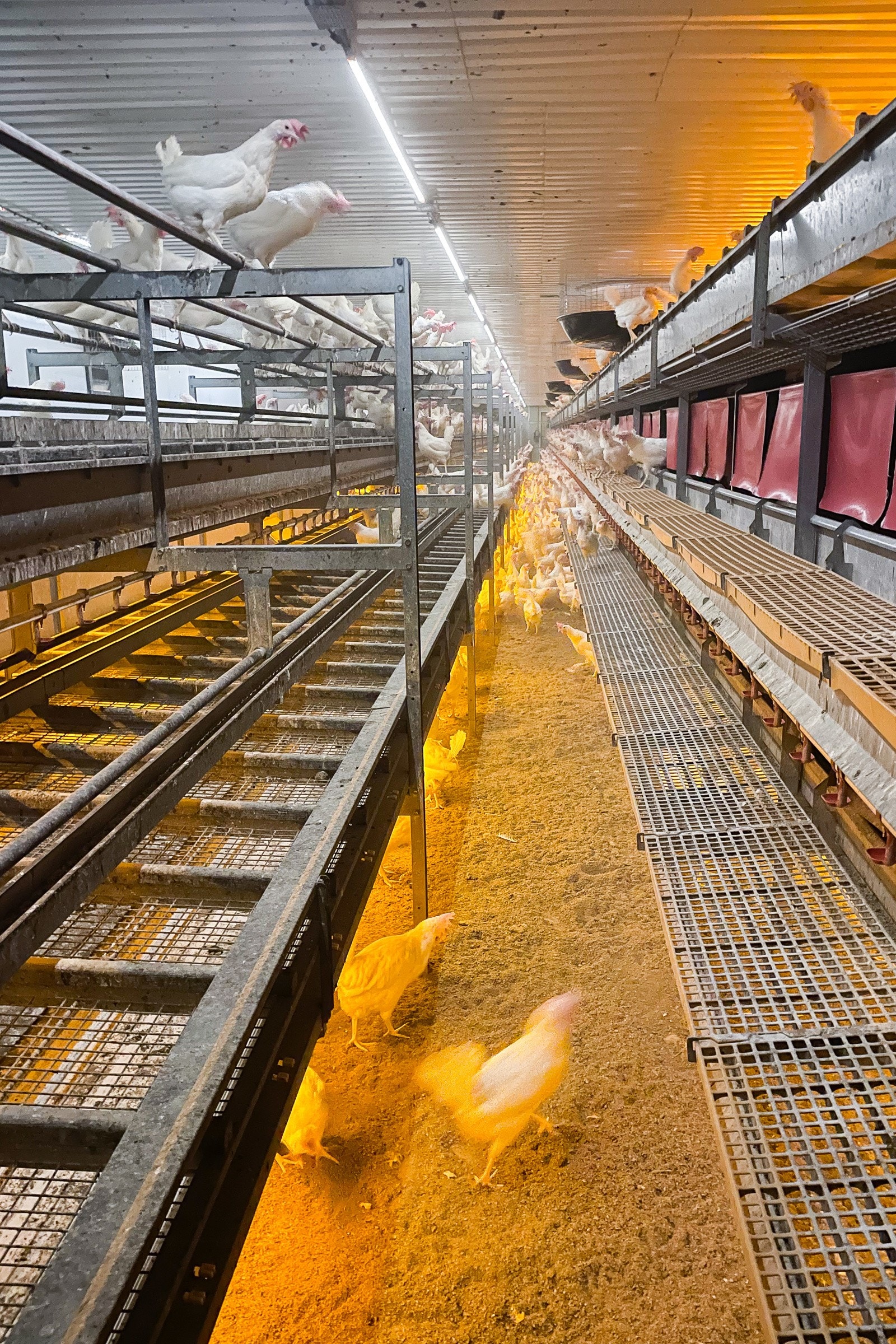 Driftsbygning III Galleribilde