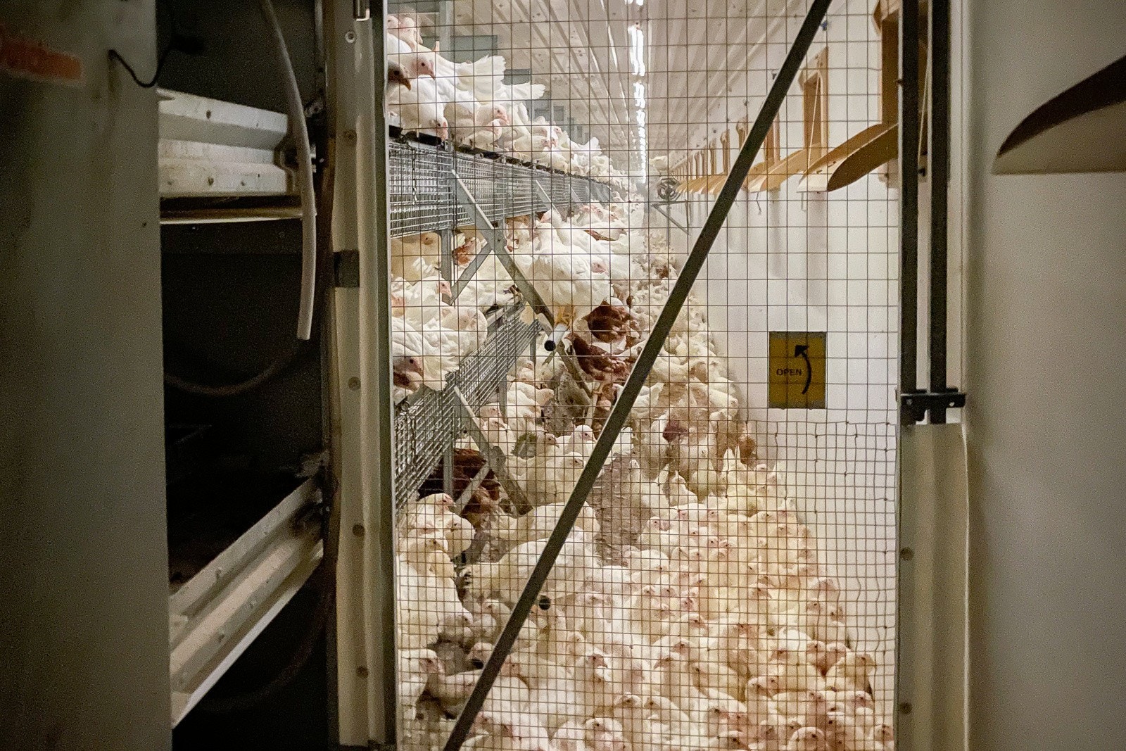 Driftsbygning II Galleribilde