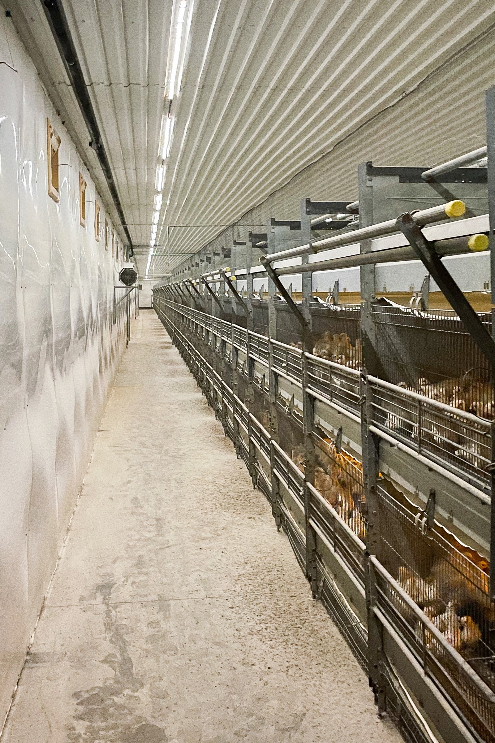 Driftsbygning I Galleribilde