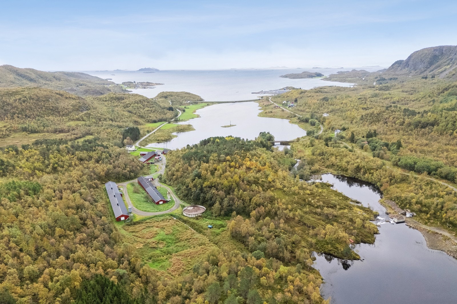 Område Galleribilde