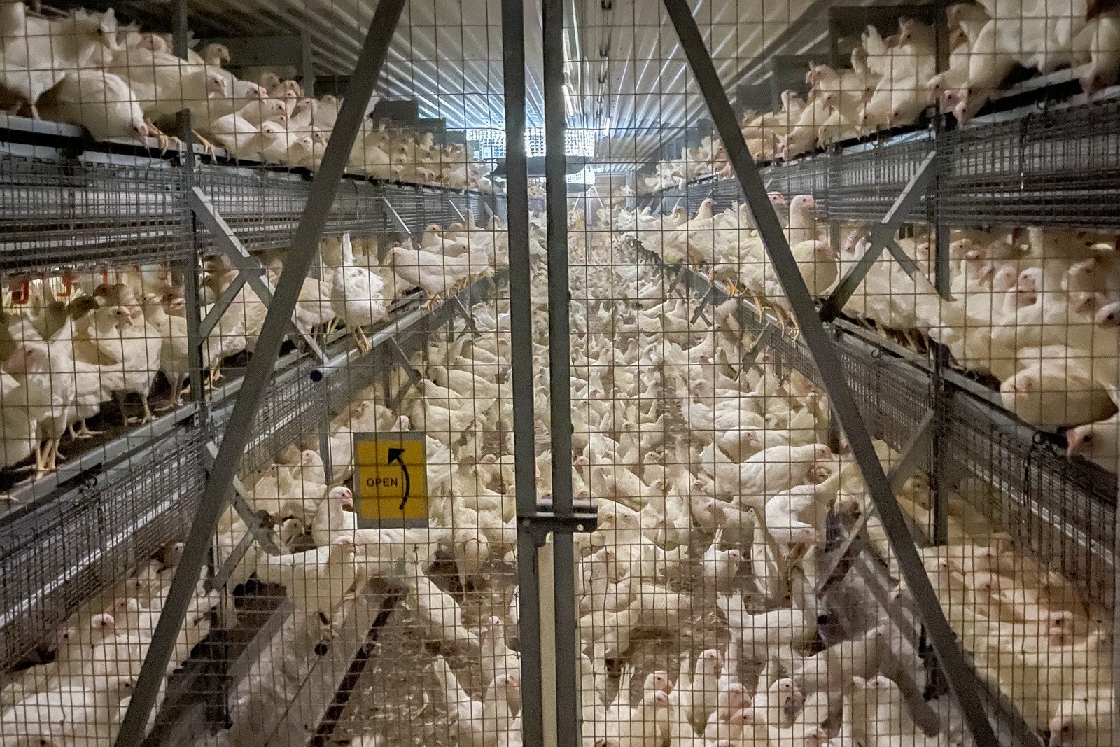 Driftsbygning II Galleribilde