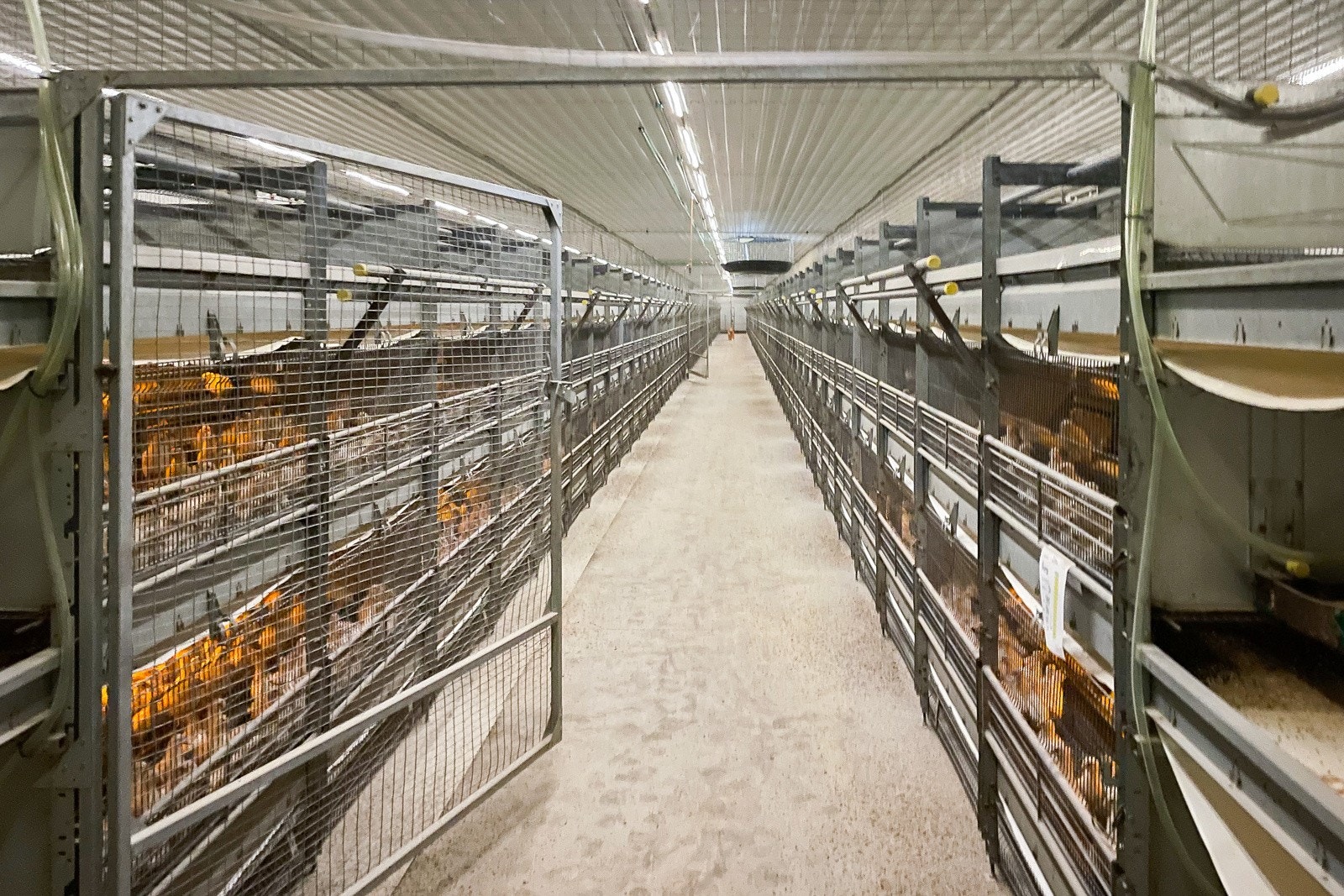 Driftsbygning I Galleribilde