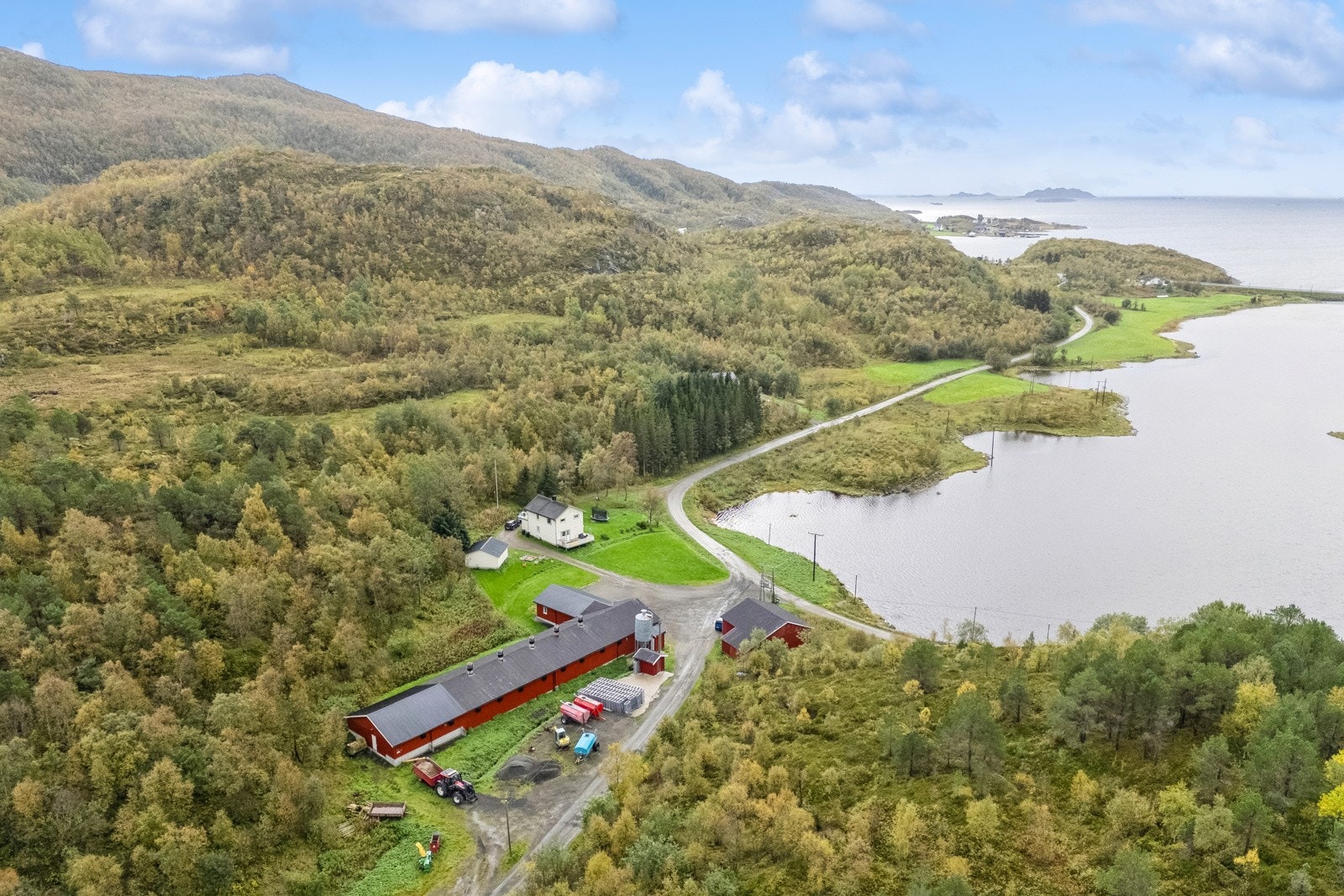 Gårdstun Galleribilde