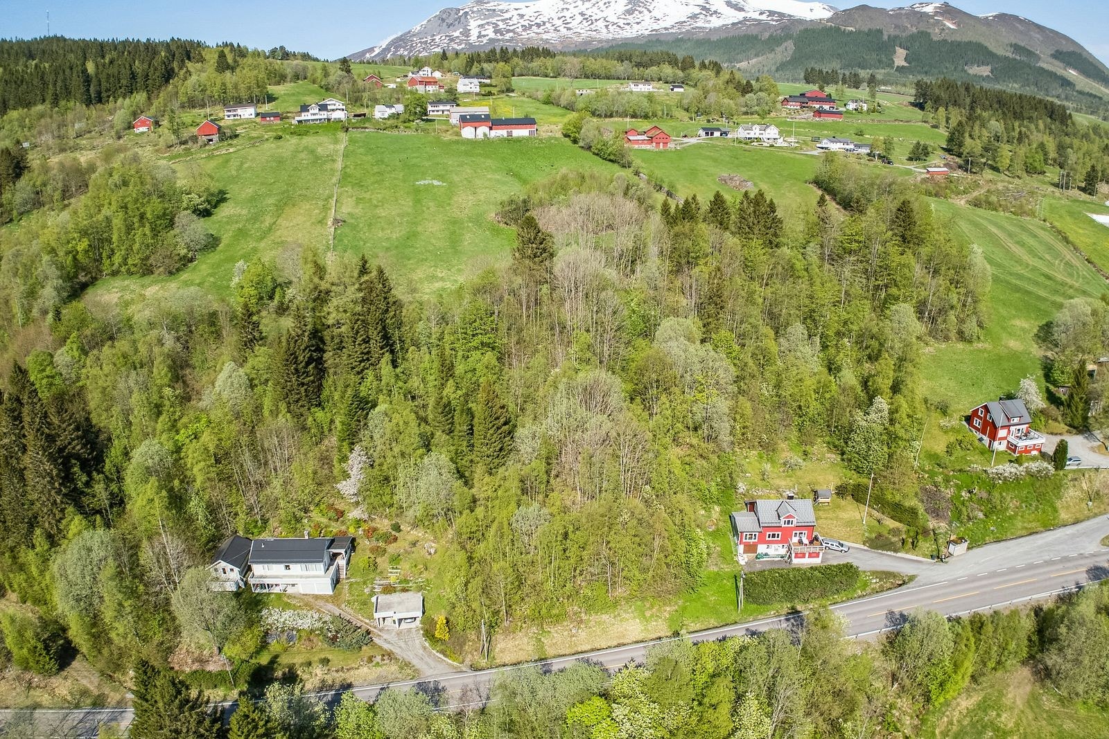 Nærområde Galleribilde