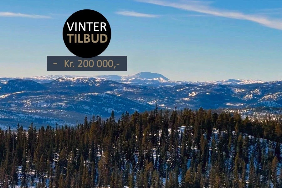Panoramautsikt mot Gaustatoppen Galleribilde