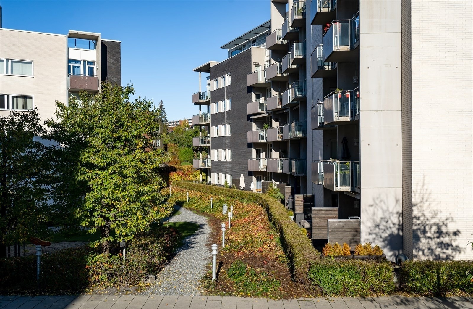 Nabolaget på sommerstid. Galleribilde