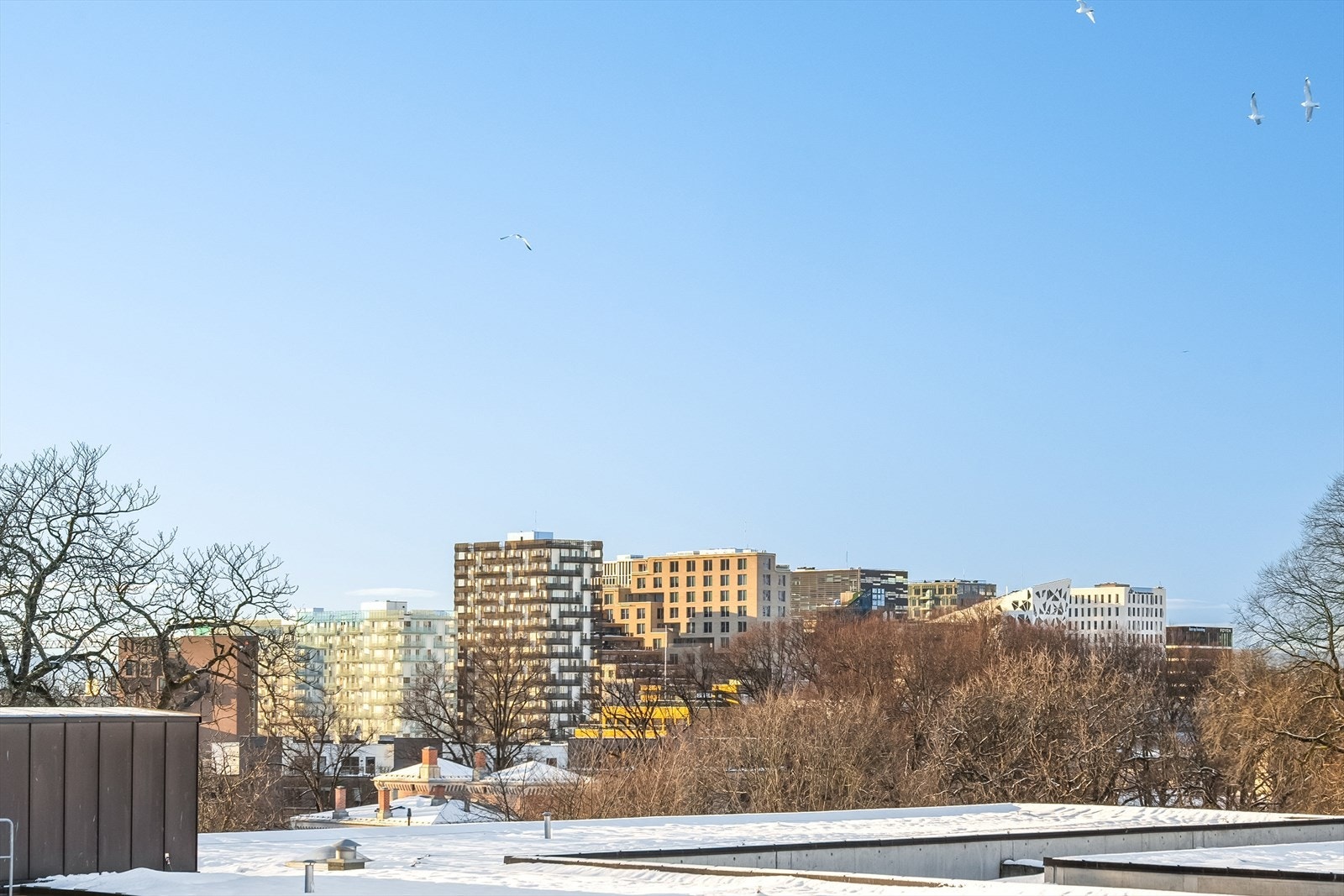 Leiligheten ligger høyt i bygget med flott utsyn og utsikt mot bl.a. Barcode, Ekeberg og Oslo by Galleribilde