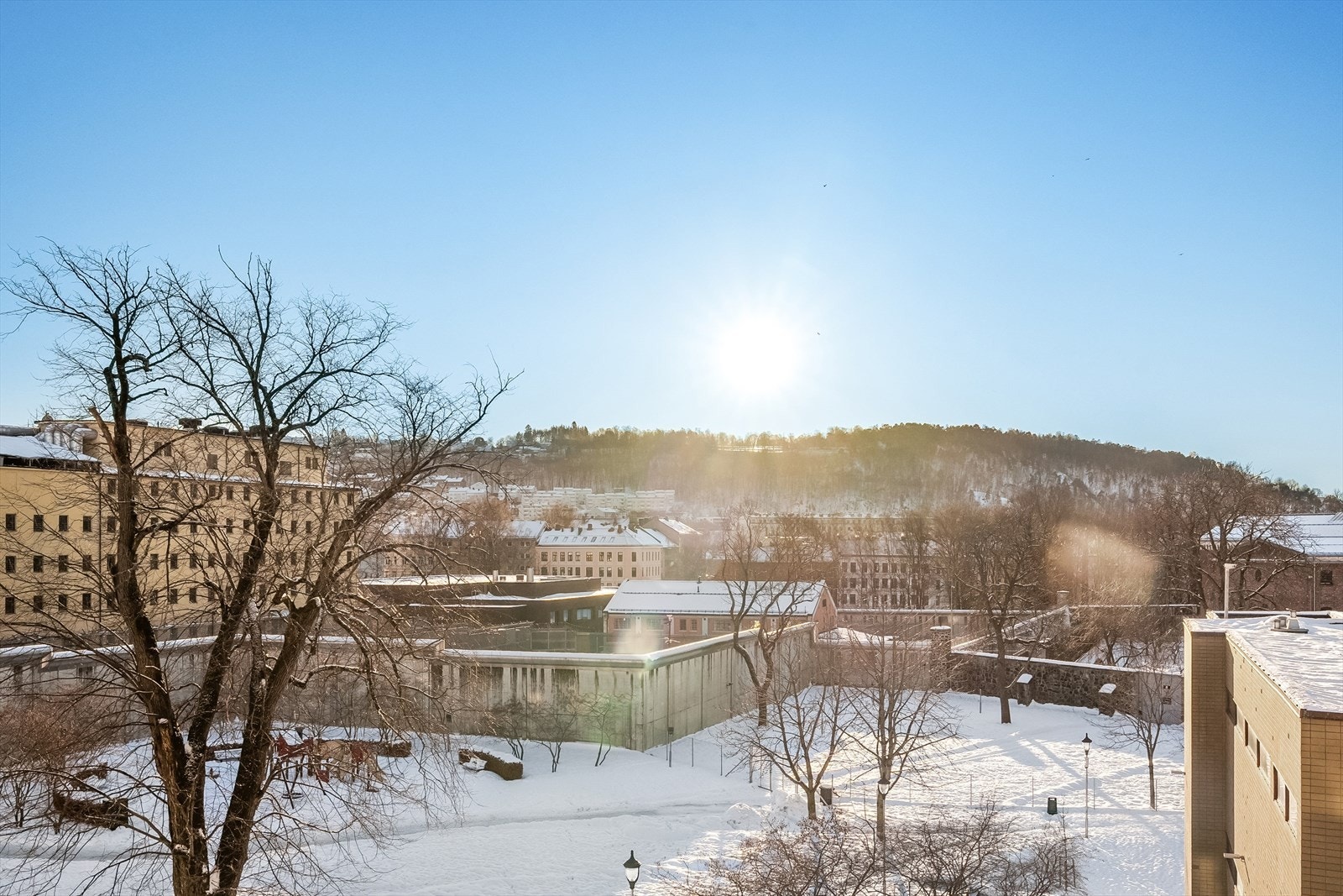 Frodig utsyn mot Ekeberg Galleribilde