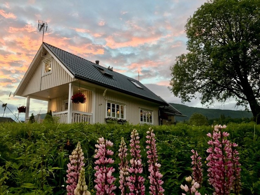 Vaktbolig Galleribilde