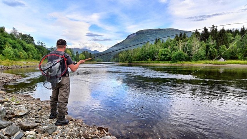 Stemningsbilde tatt av fotograf Fabrice Milochau Galleribilde