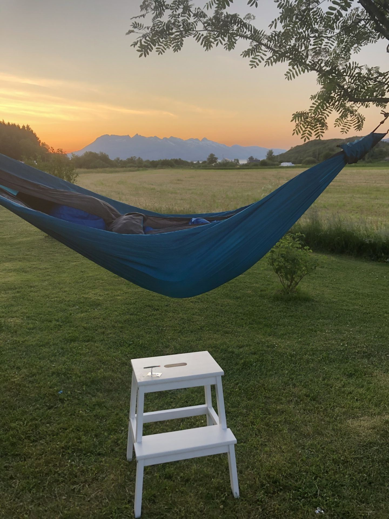 Sommeridyll fanget av selger - Privat bilde Galleribilde