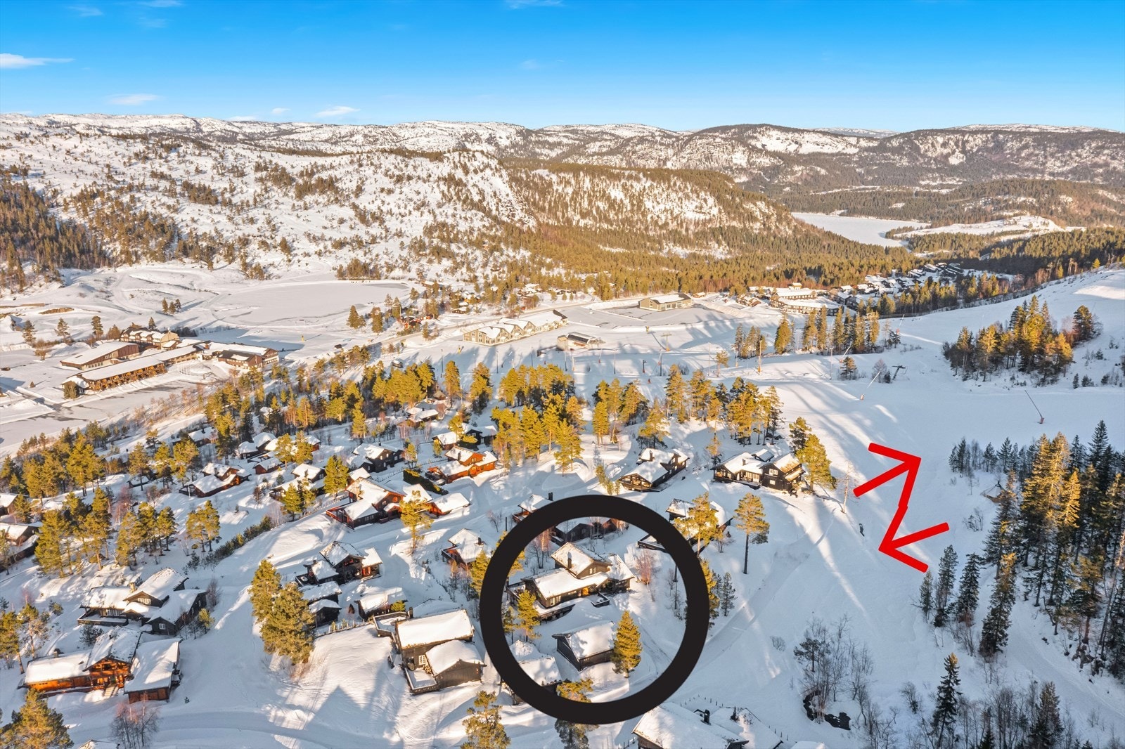 Beste ski inn/ski ut. Galleribilde