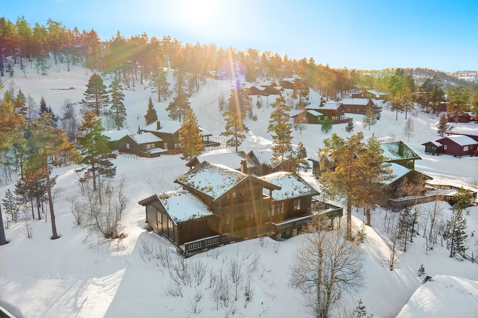 Flott utsikt. Galleribilde