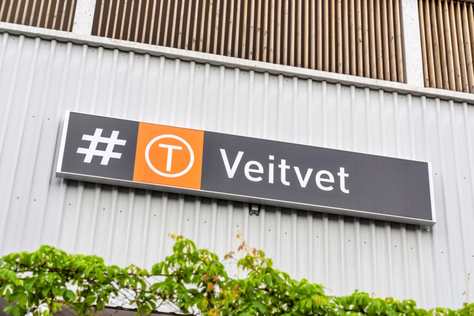 Veitvet T-bane er like ved og det er godt med bussforbindelser samt nattbuss 7 dager i uken. Galleribilde