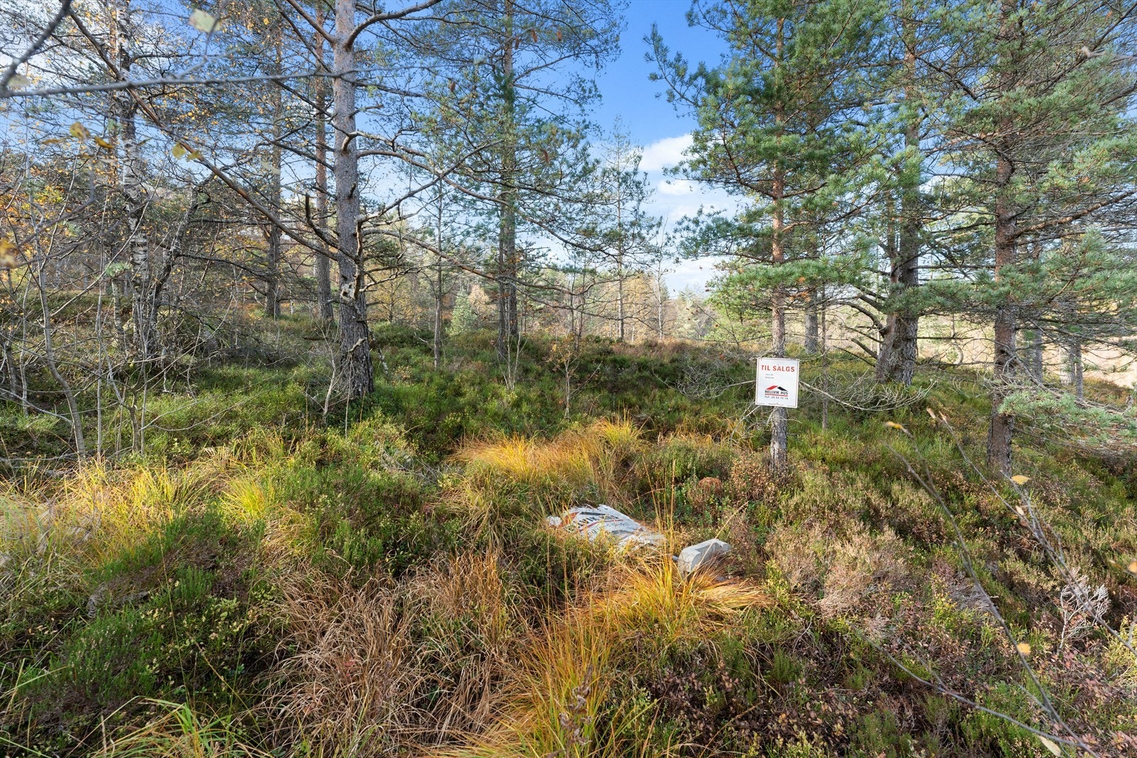 01Fasade_12.jpg Galleribilde