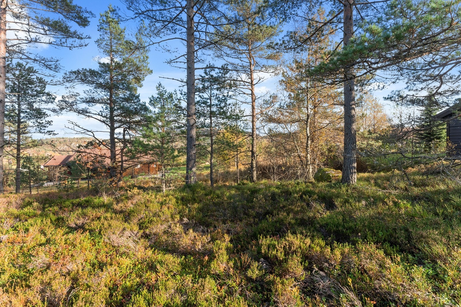 01Fasade_14.jpg Galleribilde