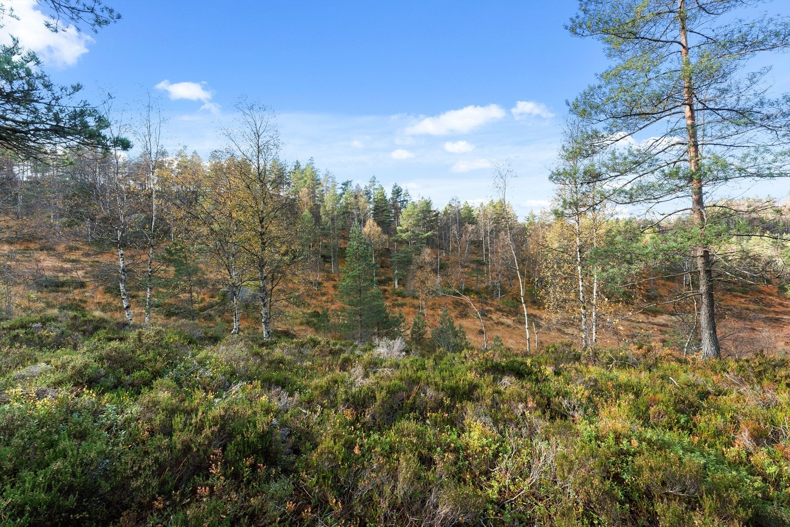 01Fasade_13.jpg Galleribilde