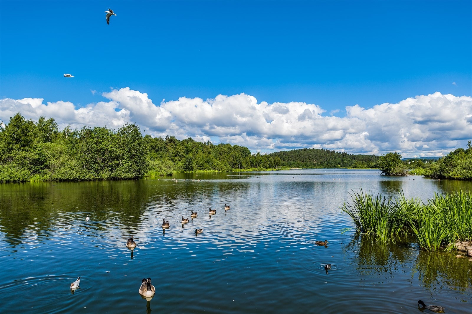For de som ønsker å ta det med ro finnes det flotte turområder i nærheten. Galleribilde