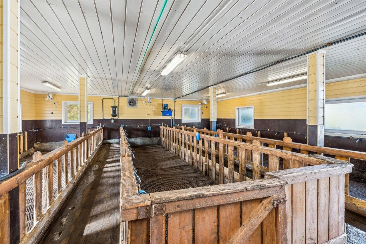 Fjøsinnredning Galleribilde