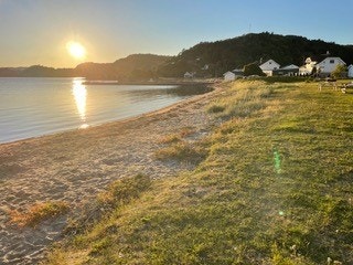 Bilder tatt av selger, nærområde Galleribilde