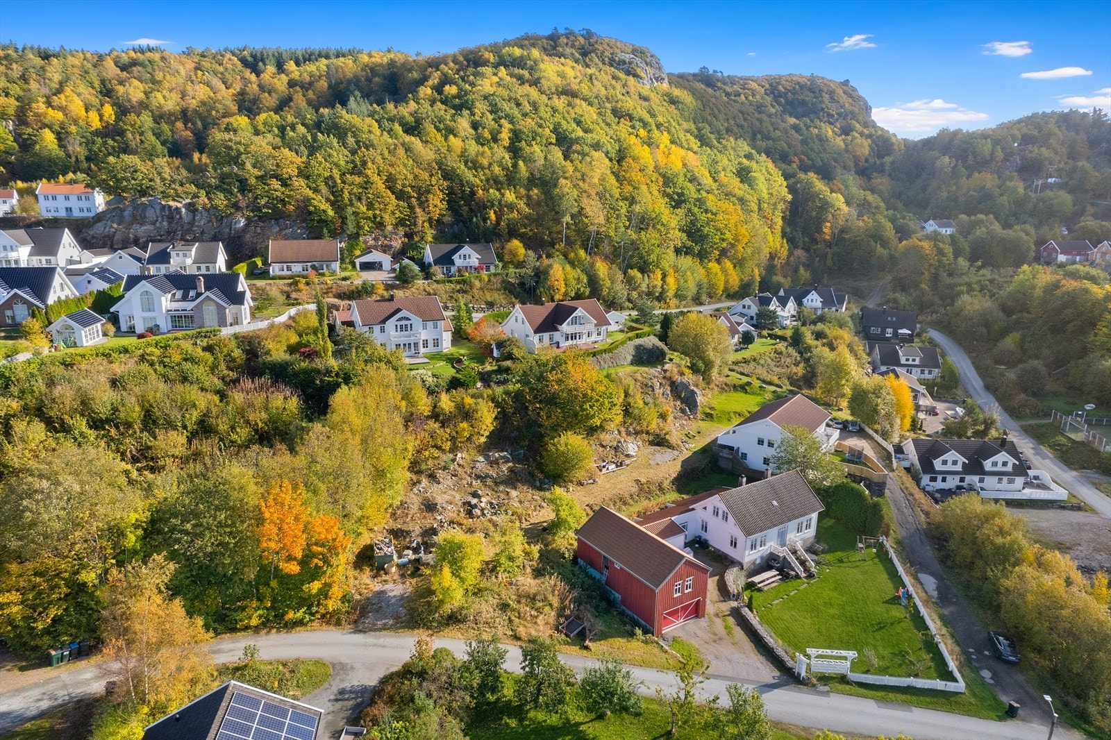 Område rundt er godt etablert Galleribilde