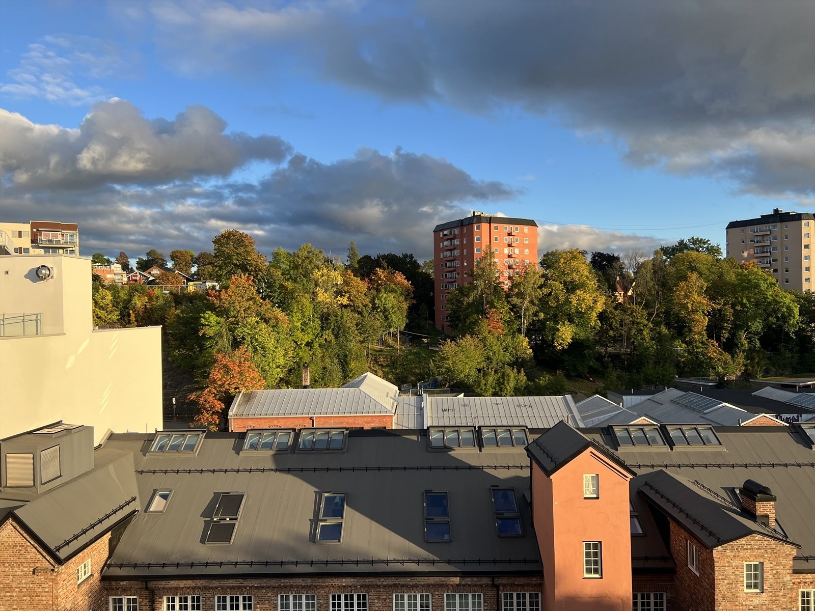 Sommerbilde tatt av selger. Galleribilde