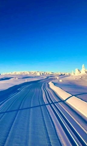 Bilde hentet fra visitbudor. Galleribilde