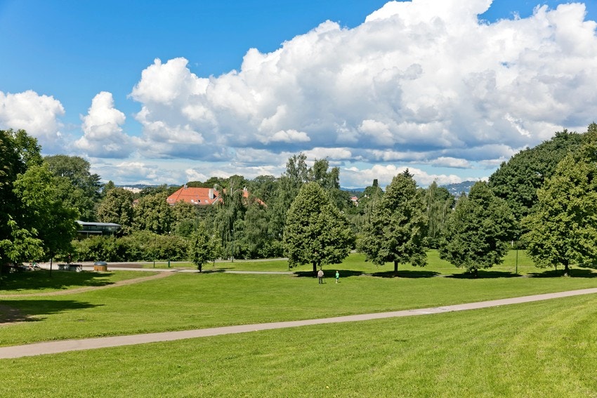 Lokalmiljø Galleribilde