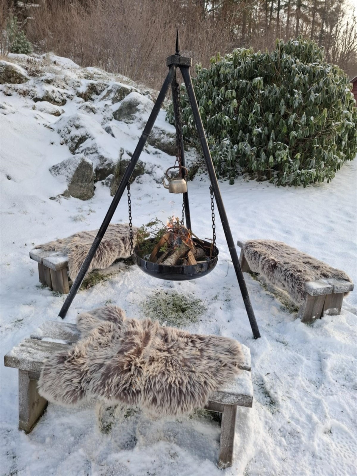 Selgers bilde Galleribilde