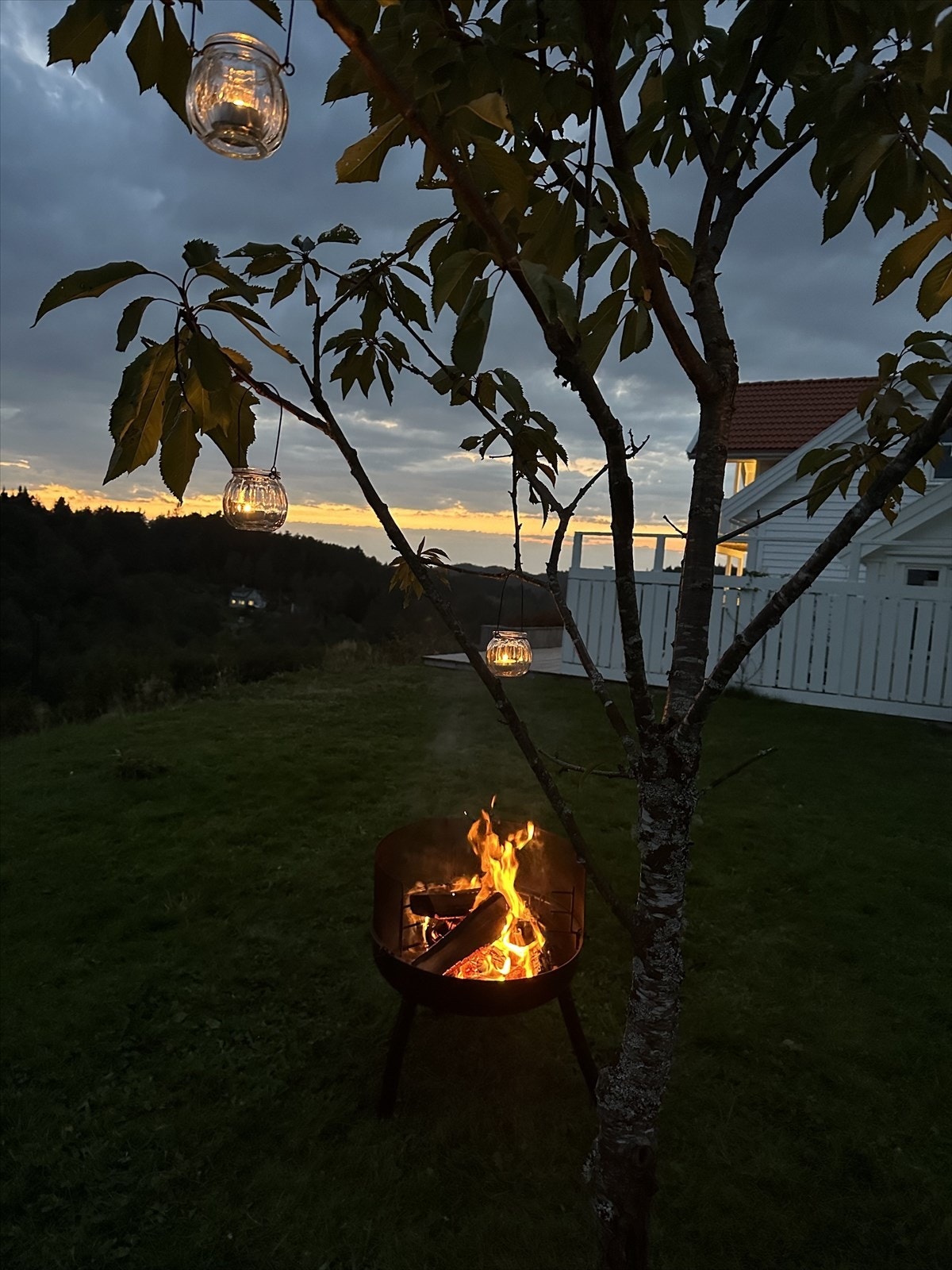 Selgers bilde Galleribilde