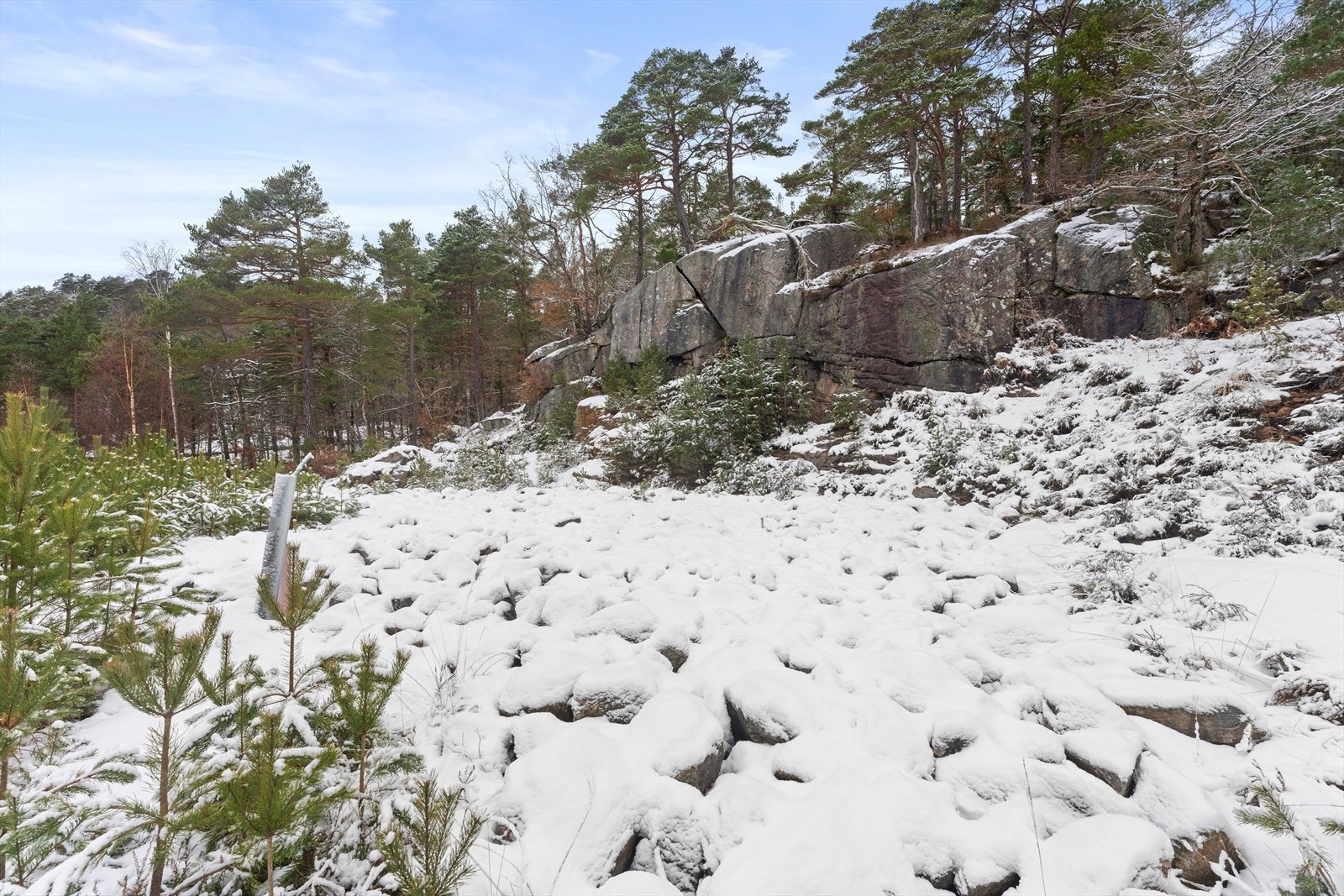 01Fasade_11.jpg Galleribilde