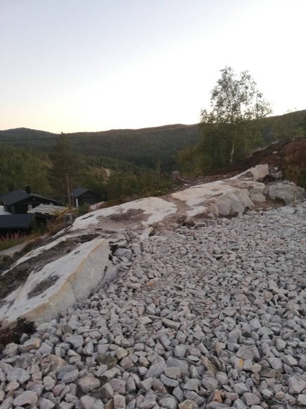 Selgers egne bilder fra sommerhalvåret. Galleribilde