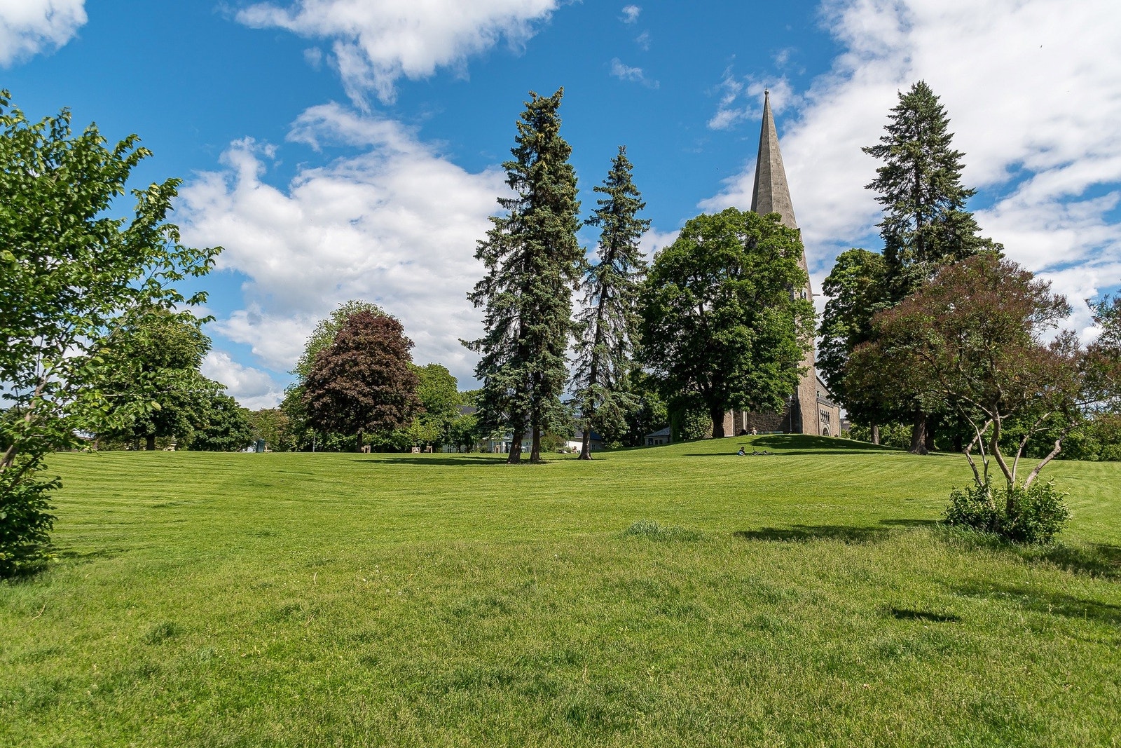 Flere turområder i nærmiljøet som Etterstadparken, Svartdalen og Vålerengaparken. Galleribilde