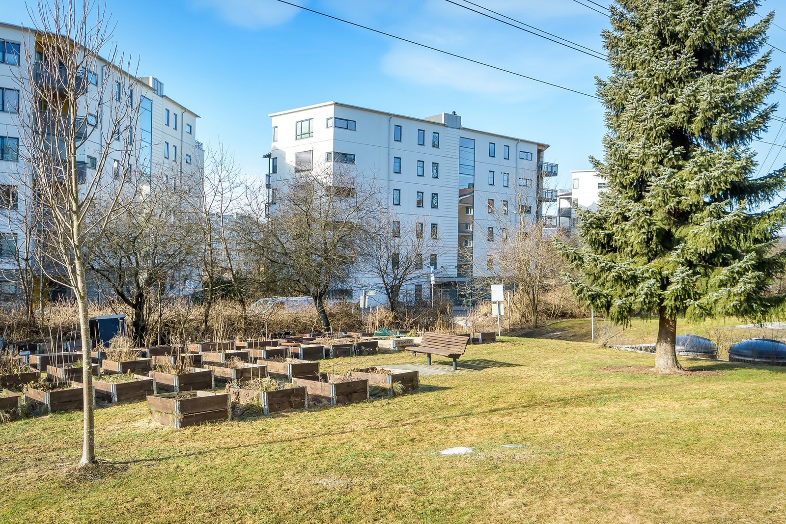 Flere parsellhager i borettslaget som kan benyttes av beboerne. Galleribilde