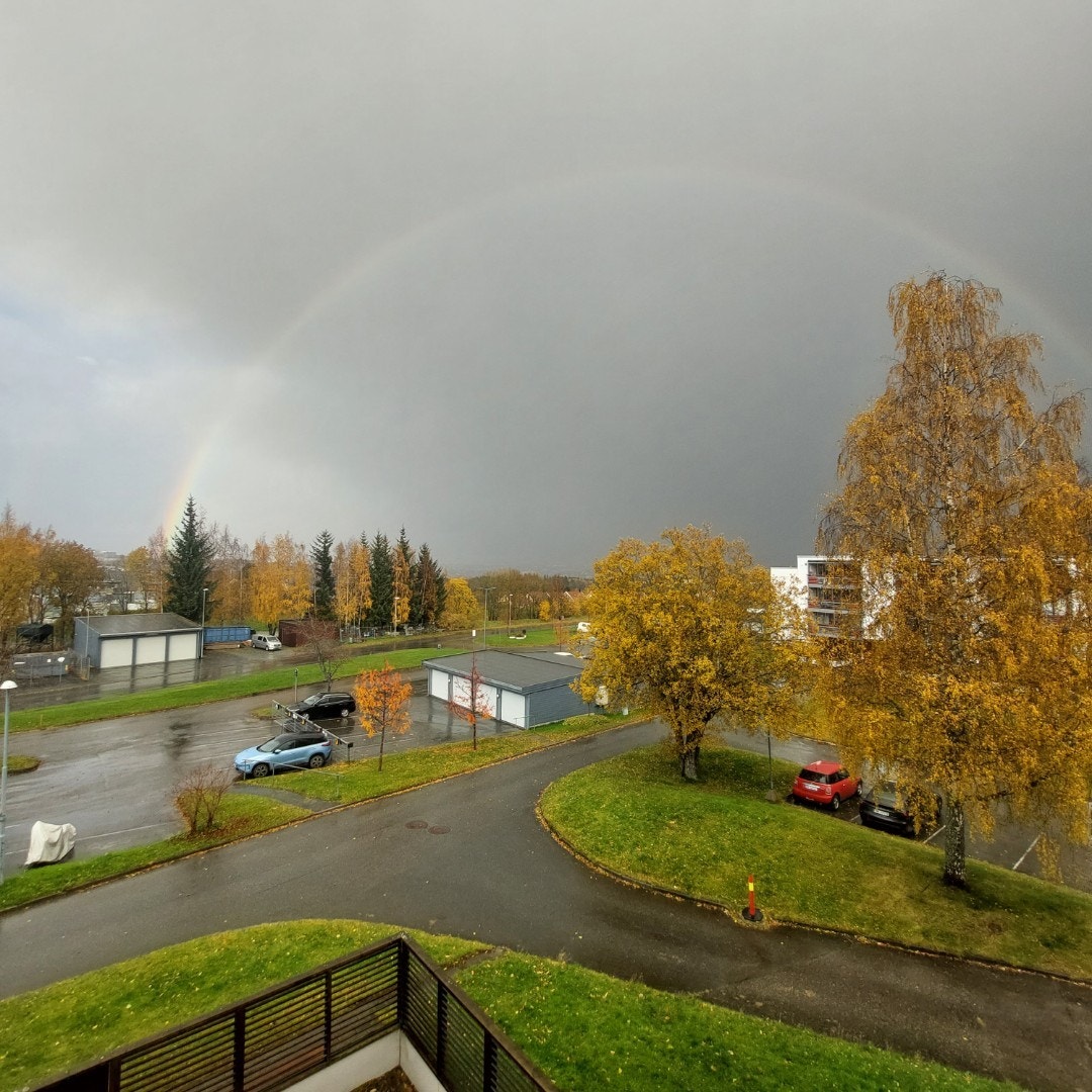 Etter regn kommer sol, og da blir vi belønnet med en fantastisk regnbue som lyser opp himmelen. Galleribilde